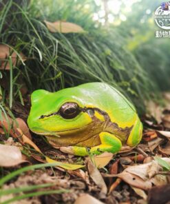 Animal Planet Studio - Original Tree Frog Plus [Pre-Order]